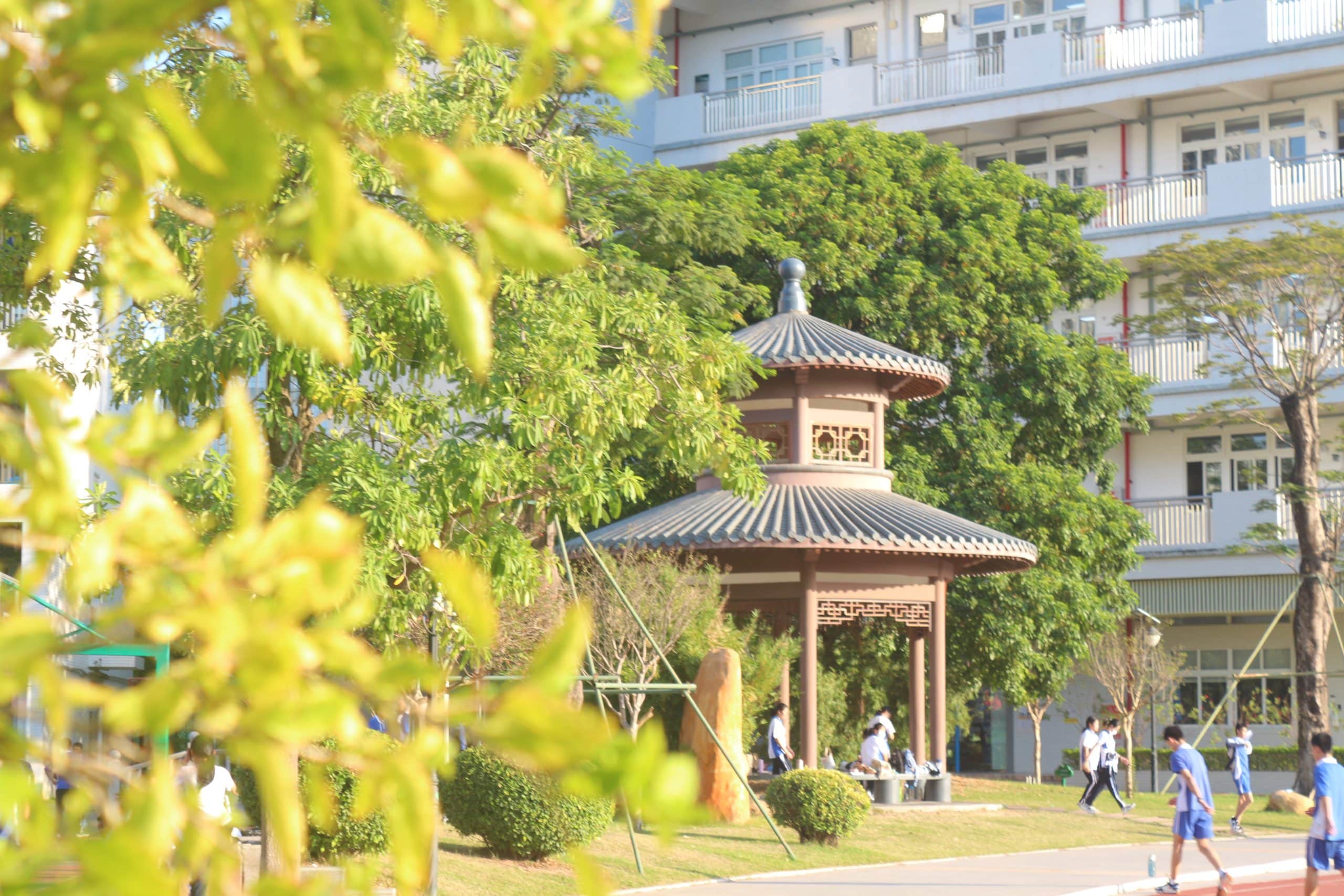 校园风景1